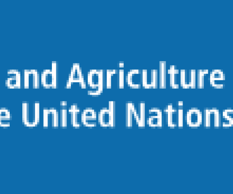 FAO