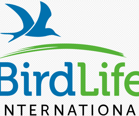 Birdlife