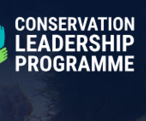 Future Conservationist