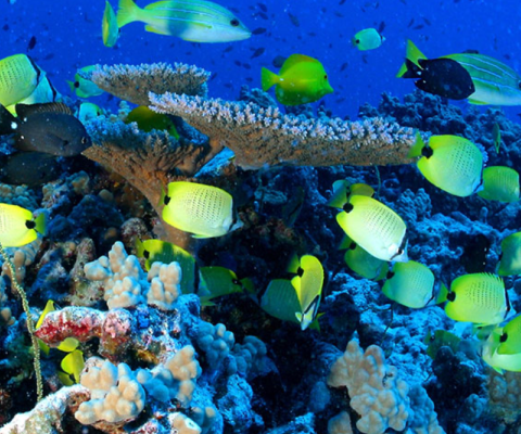 US National Monument