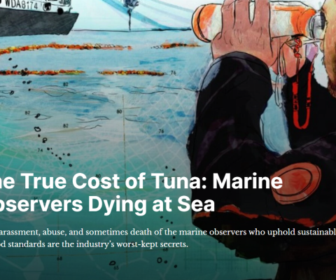 Ocean observers