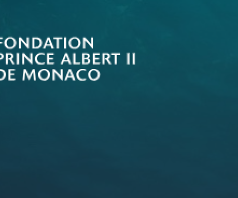 Monaco Foundation