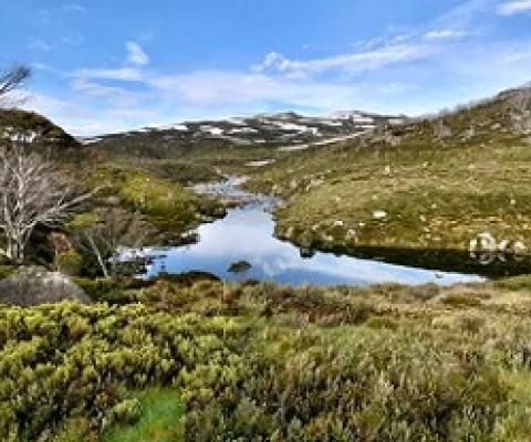 Snowy 2.0 threatens to pollute pristine Snowy Mountains rivers. Schopier/Wikimedia