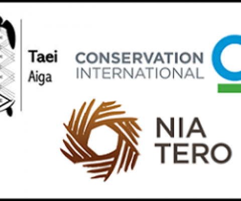 Sue Taei fellowship organising committee logo. Credit - https://www.suetaeioceanfellowship.org/