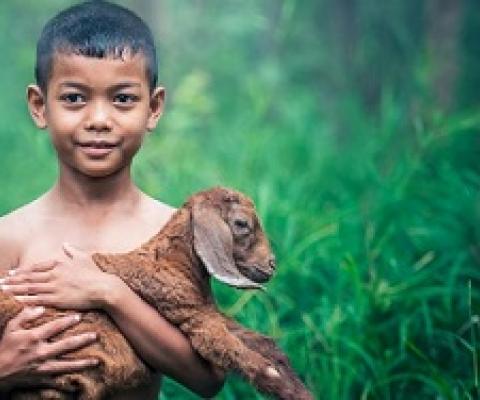 Opinion: Sustainable development must account for pandemic risk