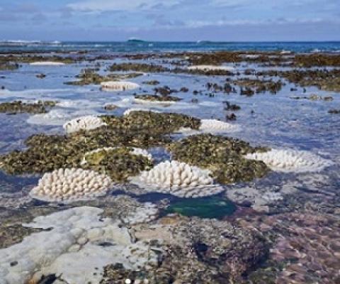 Titikaveka lagoon, Cook Islands. Credit - MINISTRY OF MARINE RESOURCES/CHARLEE MCLEAN