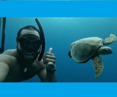 Credit - JinNam Hopotoa