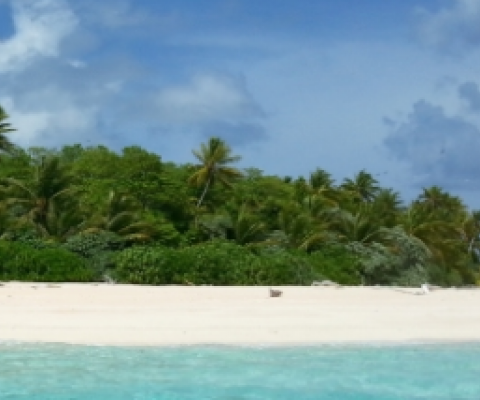 Funafuti Conservation Area, Tuvalu. Credit - V. Jungblut