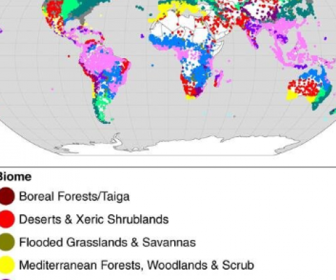 Overview of the terrestrial protected areas investigated in the new study. Credit: Nature Communications (2019)