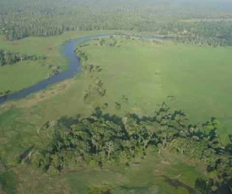 Tonda Wildlife Management Area, Papua New Guinea. Credit - Iain Taylor