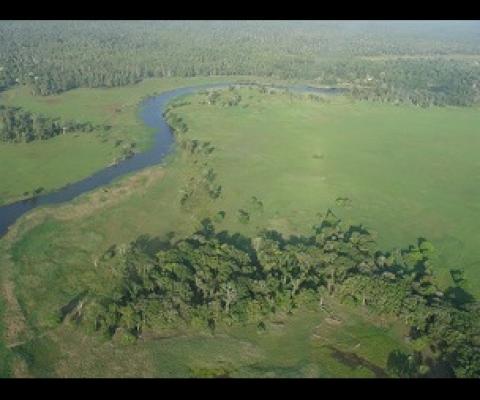Tonda Wildlife Management Area, Papua New Guinea. Credit - Iain Taylor