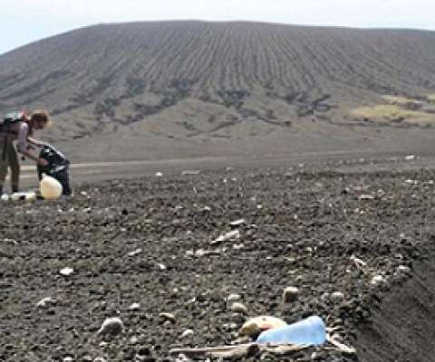 Monitoring marine debris on Hunga Tonga Hunga-Ha'apai. October 2019. Photo: Cameron Gallant & Katherine H. Webber Blog.