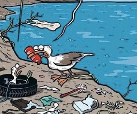  Is the UK doing enough to protect the world’s oceans?