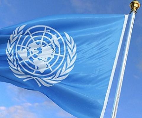 The United Nations flag Photo: CFP