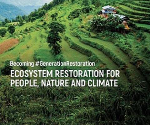 Launching the UN Decade on Ecosystem Restoration, a new UNEP/FAO report says the world must deliver on existing commitments to restore at least 1 billion degraded hectares of land - an area comparable to China - in the next decade and add similar commitments for oceans. The report documents the urgent need for restoration, the financial investment required, and the potential returns for people and nature. Credit: UNEP/FAO