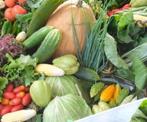 Fresh vegetables. Credit - https://www.innov4agpacific.net/