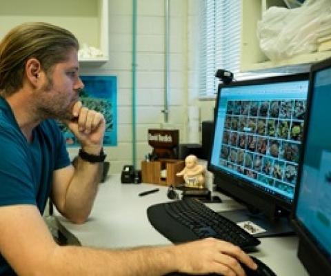 David Burdick, a research associate at the University of Guam Marine Laboratory, looks through the online database of the UOG Biorepository. (UNIVERSITY OF GUAM)