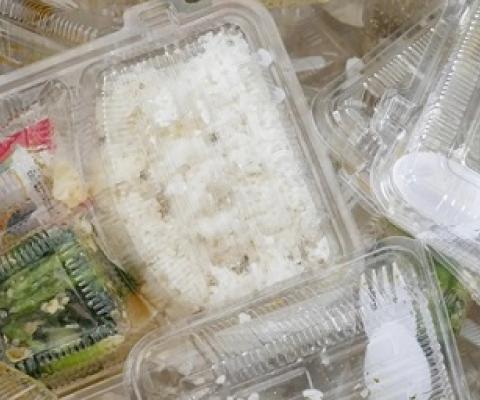 Fewer than 15% of recycling facilities surveyed could process plastic clamshells, like these. Photograph: Prakaymas vitchitchalao/Alamy