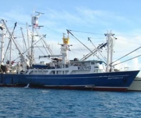 US Raffaello alongside mother ship Tai Fu No1. Photo: Supplied