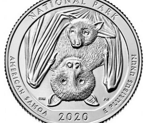 The Samoan fruit bat is being featured as part of the America the Beautiful Quarters program. Source - www.cnn.com