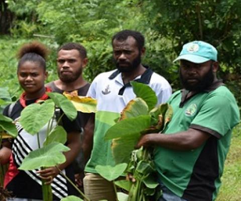 Credit - https://www.dailypost.vu/