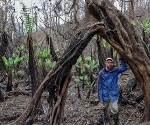 The forest is now terribly silent': land set aside for threatened species entirely burnt out