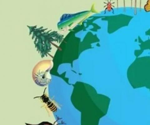 Biodiversity loss is loss for humanity 