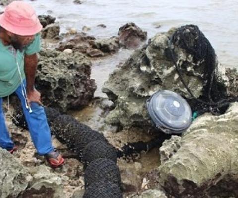 Part of a drifting FAD washed up on a beach. Photo: A. Durbano, Association Hô-üt’, New Caledonia.