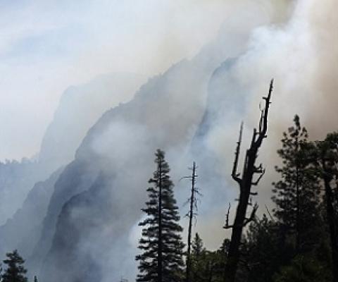 In this June 11, 2019, file photo, canyon walls are shrouded with smoke from a prescribed burn in Kings Canyon National Park, Calif. Ten of the world's most treasured forests and nature reserves, including those in Yosemite National Park in the United States and Sumatra's tropical rainforest in Indonesia, have gone from being net consumers of heat-trapping carbon dioxide in the atmosphere to net generators of it, a new U.N.-backed report shows. The first of its kind study by the International Union for Cons