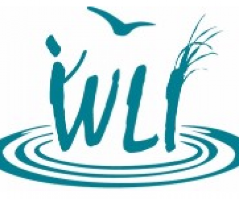 WLI logo
