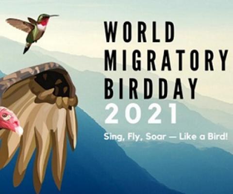 World Migratory Bird Day 2021 logo. Credit - Sara Wolman