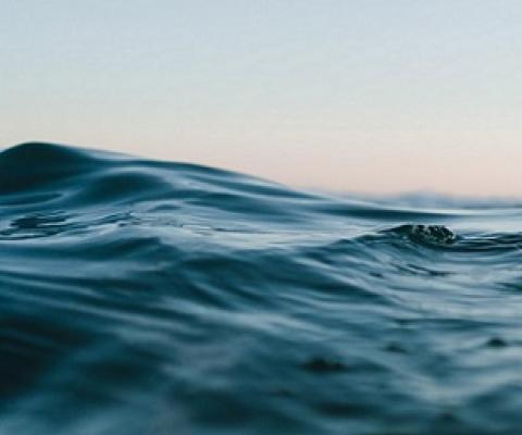 What Does 30x30 Have to do with the Oceans and Livelihoods? Credit - www.triplepundit.com