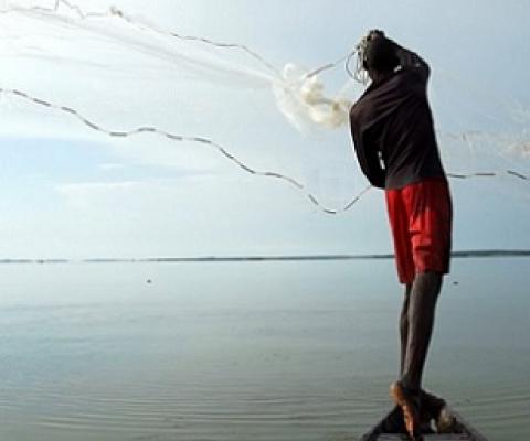 World Oceans Day How Marine World Heritage builds resilience for people and nature. Credit - UNESCO