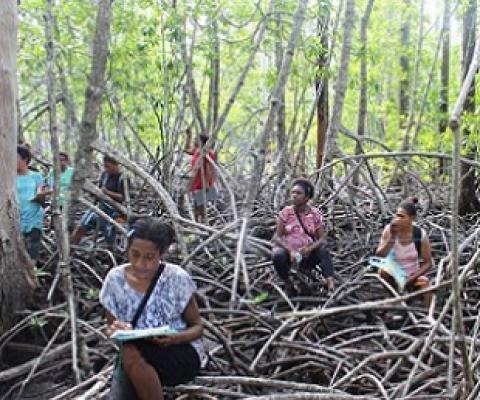 women engaing in mangrove monitoring. Credit - TNC