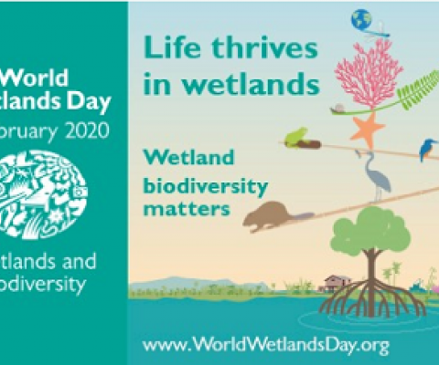 World Wetlands Day promotional flyer. source - www.ramsar.org