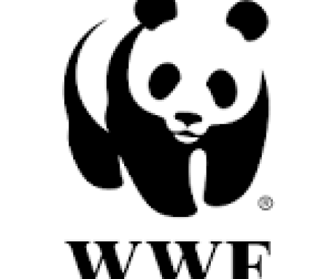 WWF