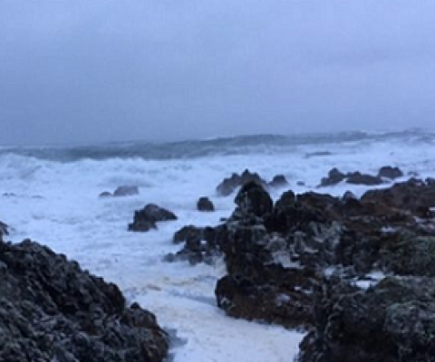 Houghton Bay in Wellington. Photo: RNZ / Caitlin Cherry