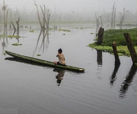 About 60 percent of the 15,000 people living in the Agusan Marsh are Agusan Manobos, a local Indigenous group. Credit - Gab Mejia