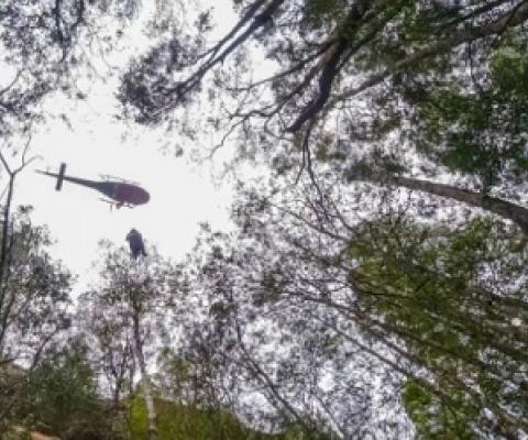 A firefighter is lowered from a helicopter hovering above the Wollemi stand. source - https://www.smh.com.au