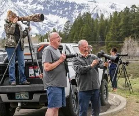  Visitors gather along the side of the road to try to photograph a grizzly bear with her cubs on Monday afternoon. Photograph: Gabriela Campos/The Guardian