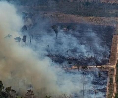 Forest fires in the Amazon occured on an unprecedented scale in 2019. Photograph: Victor Moriyama/AFP/Getty Images