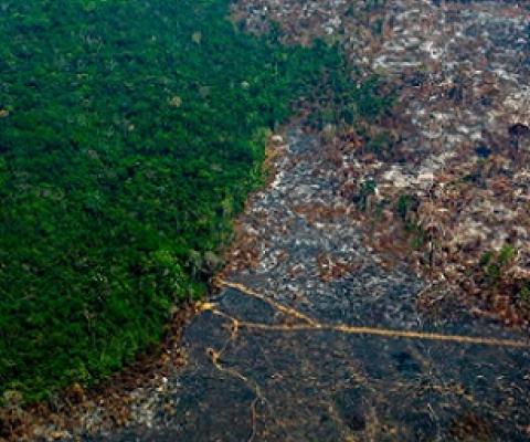 Aerial view of deforestation in Nascentes da Serra do Cachimbo Biological Reserve in Brazil’s Amazon basin in August 2019. Photograph: João Laet/AFP/Getty Images