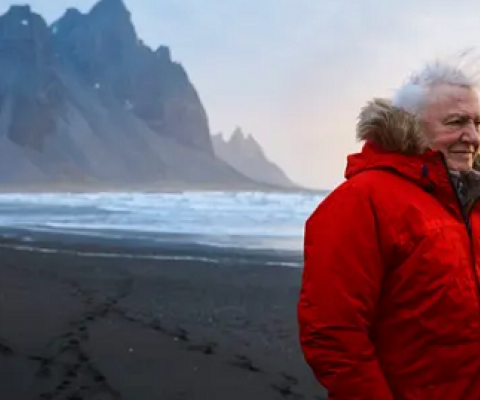 David Attenborough on location filming Seven Worlds, One Planet on the Stokksnes peninsula, Iceland. Photograph: Alex Board/PA
