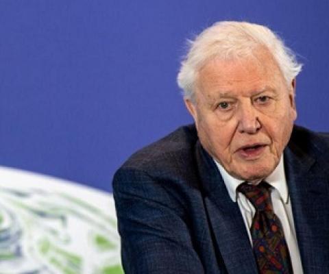 FILE PHOTO: David Attenborough speaks during a conference about the UK-hosted COP26 UN Climate Summit, at the Science Museum in London, Britain February 4, 2020. Chris J Ratcliffe/Pool via REUTERS/File Photo