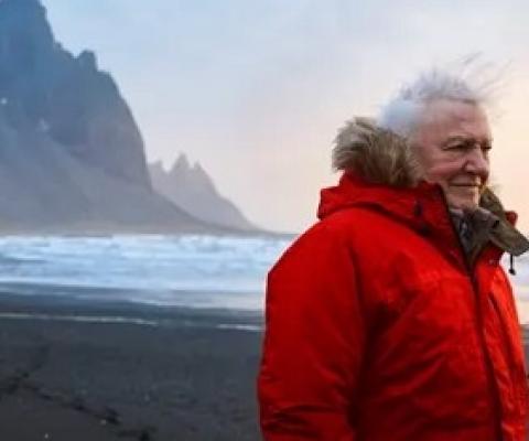 Sir David Attendborough. Credit - www.bbc.com