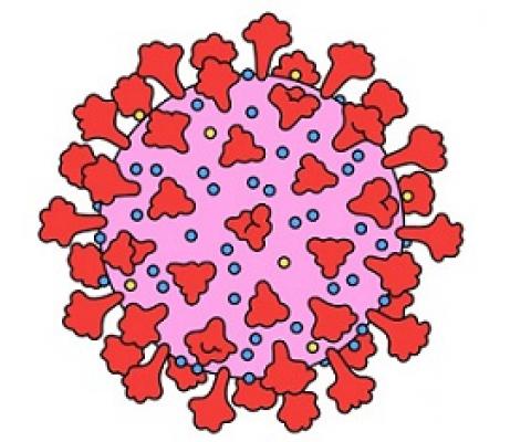 Illustrations by Laura Edelbacher; Animation by Patryk Senwicki