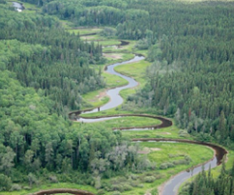 The Broadback Watershed contains some of the last old-growth boreal forest in the Waswanipi Cree territory.(Josué Bertolino/© Josué Bertolino / Greenpeace)