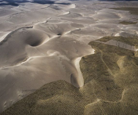 China is planting trees to stop deserts expanding.Credit: Wang He/Getty