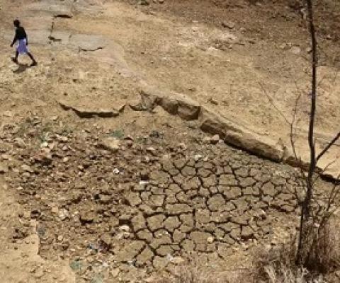An Indian farmer walks across the bed of a pond that has dried out during a water crisis. Photograph: Sanjay Kanojia/AFP via Getty Images