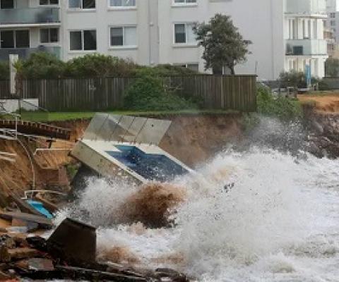 The world may lose half its sandy beaches by 2100. 